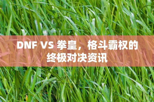 格斗霸权的终极对决资讯图片