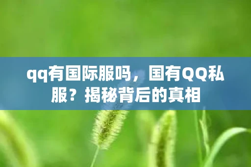 qq有国际服吗,国有QQ私服?揭秘背后的真相 qq有国际服吗,国有QQ私服?揭秘背后的真相