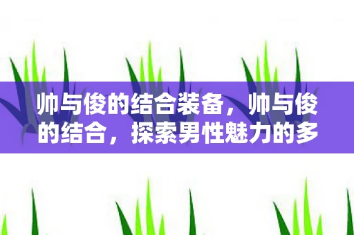 帅与俊的结合装备，帅与俊的结合，探索男性魅力的多面性