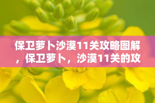 保卫萝卜沙漠11关攻略图解，保卫萝卜，沙漠11关的攻略与心得