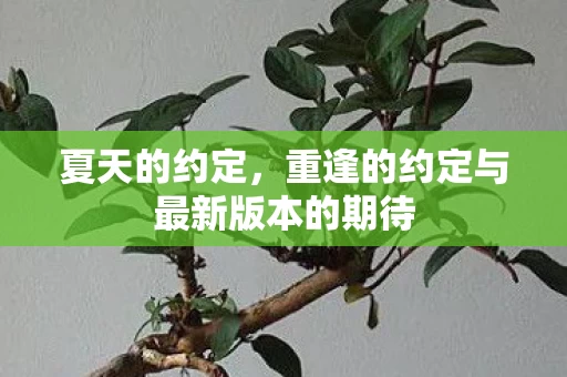 重逢的约定与最新版本的期待图片