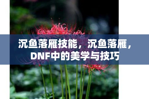 沉鱼落雁技能，沉鱼落雁，DNF中的美学与技巧