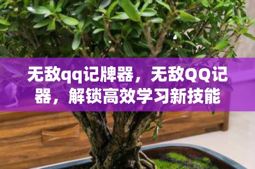 无敌qq记牌器，无敌QQ记器，解锁高效学习新技能