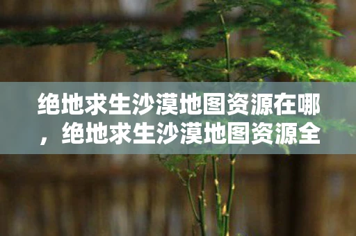 绝地求生沙漠地图资源在哪，绝地求生沙漠地图资源全解析