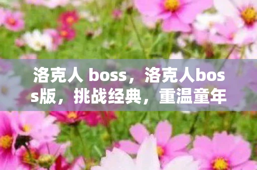 洛克人 boss，洛克人boss版，挑战经典，重温童年回忆