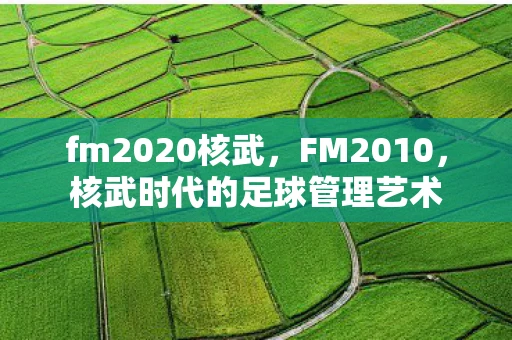 fm2020核武，FM2010，核武时代的足球管理艺术
