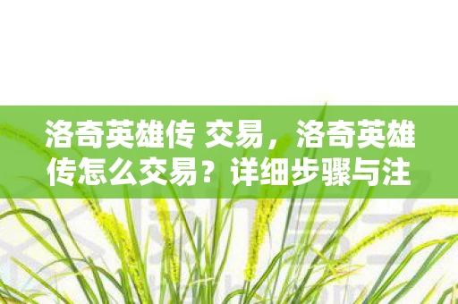 洛奇英雄传 交易，洛奇英雄传怎么交易？详细步骤与注意事项
