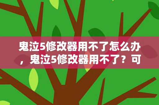 鬼泣5修改器用不了怎么办，鬼泣5修改器用不了？可能是这些原因导致的