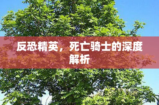 死亡骑士的深度解析图片
