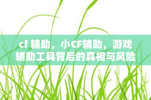 cf 辅助，小CF辅助，游戏辅助工具背后的真相与风险