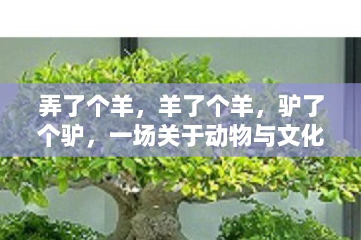 弄了个羊,羊了个羊,驴了个驴,一场关于动物与文化的奇妙碰撞 弄了个羊,羊了个羊,驴了个驴,一场关于动物与文化的奇妙碰撞