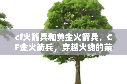 cf火箭兵和黄金火箭兵，CF金火箭兵，穿越火线的荣耀与梦想
