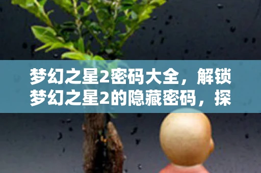 梦幻之星2密码大全，解锁梦幻之星2的隐藏密码，探索未知星域的奇幻之旅