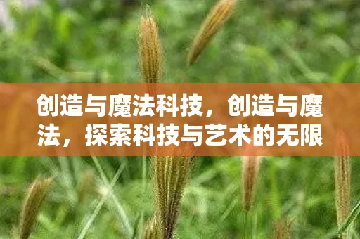 创造与魔法科技，创造与魔法，探索科技与艺术的无限可能