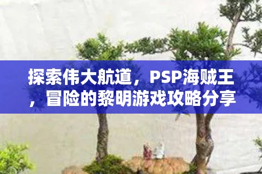 冒险的黎明游戏攻略分享图片