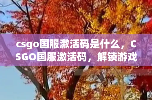 csgo国服激活码是什么，CSGO国服激活码，解锁游戏新世界的钥匙