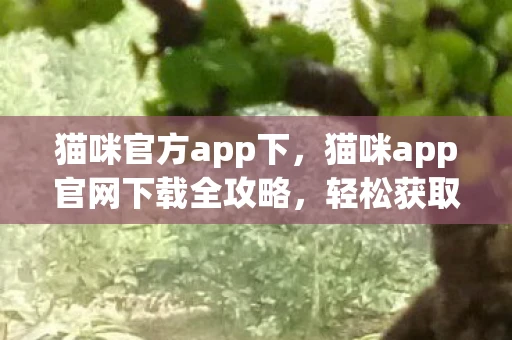猫咪官方app下,猫咪app官网下载全攻略,轻松获取,快乐养猫! 猫咪官方app下,猫咪app官网下载全攻略,轻松获取,快乐养猫!