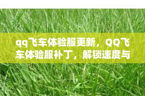 qq飞车体验服更新，QQ飞车体验服补丁，解锁速度与激情的秘籍