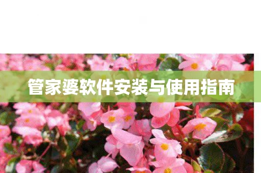 管家婆软件安装与使用指南图片
