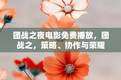 团战之夜电影免费播放，团战之，策略、协作与荣耀