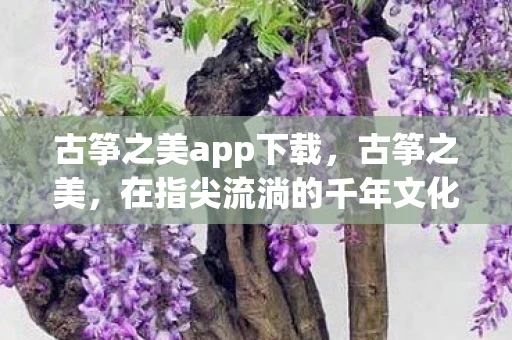 古筝之美app下载,古筝之美,在指尖流淌的千年文化 古筝之美app下载,古筝之美,在指尖流淌的千年文化