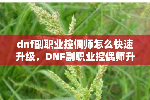 dnf副职业控偶师怎么快速升级，DNF副职业控偶师升级攻略，打造最强控偶师，解锁独特技能！