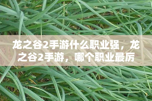 龙之谷2手游什么职业强,龙之谷2手游,哪个职业最厉害? 龙之谷2手游什么职业强,龙之谷2手游,哪个职业最厉害?
