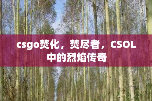 csgo焚化，焚尽者，CSOL中的烈焰传奇