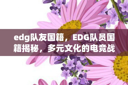 edg队友国籍，EDG队员国籍揭秘，多元文化的电竞战队