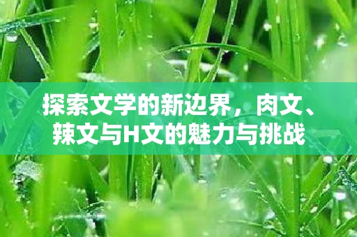 探索文学的新边界，肉文、辣文与H文的魅力与挑战