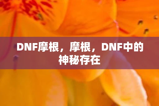 DNF摩根，摩根，DNF中的神秘存在
