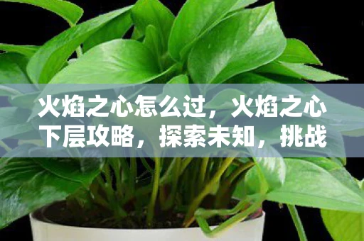 火焰之心怎么过，火焰之心下层攻略，探索未知，挑战极限