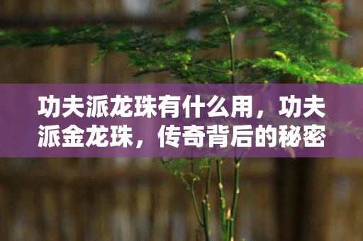 功夫派龙珠有什么用，功夫派金龙珠，传奇背后的秘密