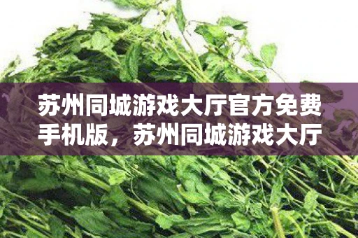 苏州同城游戏大厅官方免费手机版,苏州同城游戏大厅,探索江南水乡的文化与娱乐交汇点 苏州同城游戏大厅官方免费手机版,苏州同城游戏大厅,探索江南水乡的文化与娱乐交汇点