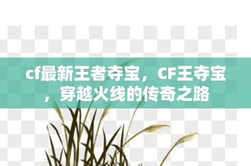 cf最新王者夺宝，CF王夺宝，穿越火线的传奇之路