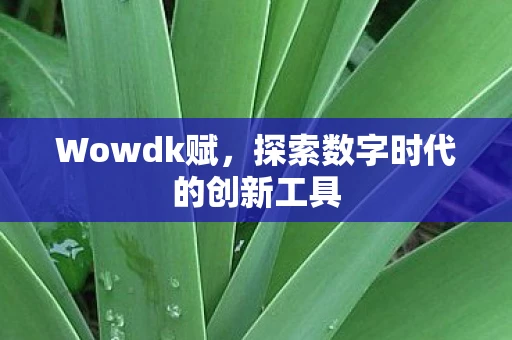 Wowdk赋，探索数字时代的创新工具