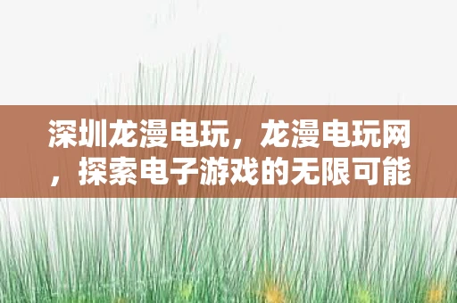 深圳龙漫电玩，龙漫电玩网，探索电子游戏的无限可能