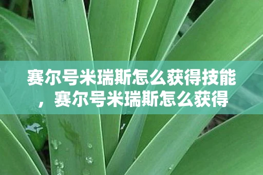 赛尔号米瑞斯怎么获得技能，赛尔号米瑞斯怎么获得