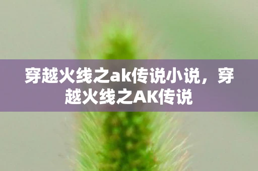 穿越火线之ak传说小说，穿越火线之AK传说