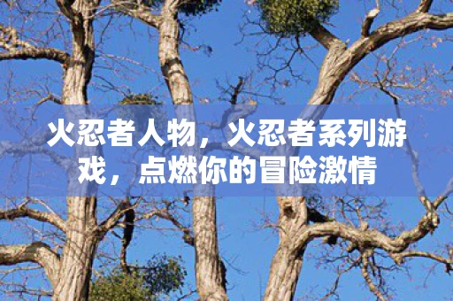 火忍者人物，火忍者系列游戏，点燃你的冒险激情