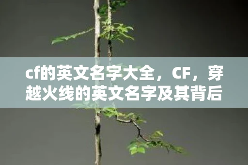 cf的英文名字大全，CF，穿越火线的英文名字及其背后的故事
