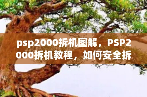 psp2000拆机图解，PSP2000拆机教程，如何安全拆解并维护你的PSP游戏机