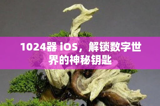 1024器 iOS，解锁数字世界的神秘钥匙
