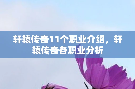 轩辕传奇11个职业介绍，轩辕传奇各职业分析