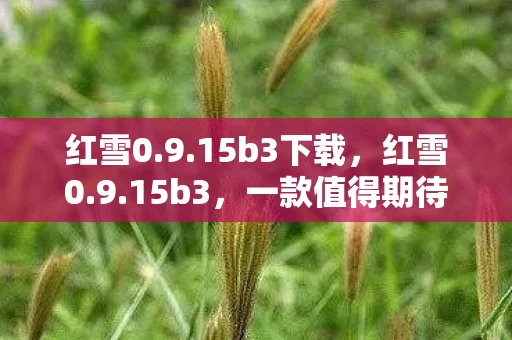 红雪0.9.15b3下载,红雪0.9.15b3,一款值得期待的iOS越狱工具 红雪0.9.15b3下载,红雪0.9.15b3,一款值得期待的iOS越狱工具