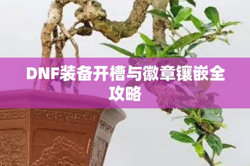 DNF装备开槽与徽章镶嵌全攻略图片