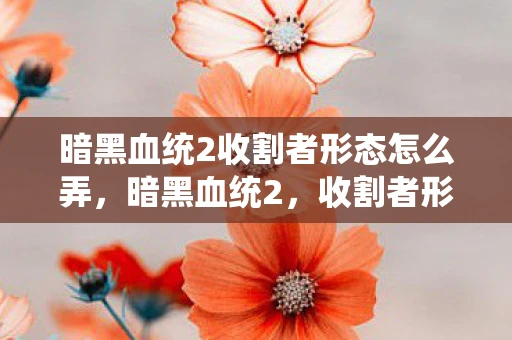 暗黑血统2收割者形态怎么弄，暗黑血统2，收割者形态的崛起