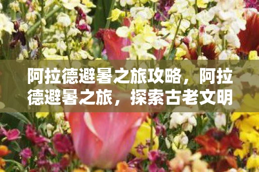 阿拉德避暑之旅攻略，阿拉德避暑之旅，探索古老文明的清凉秘境