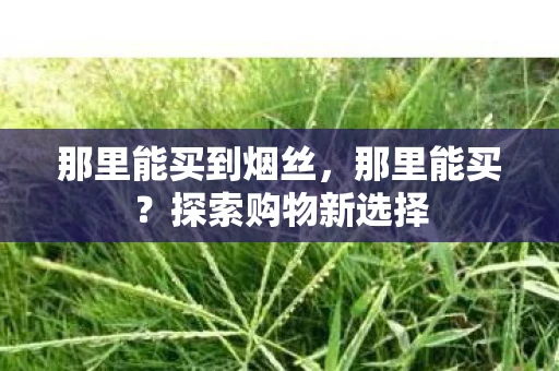 那里能买到烟丝，那里能买？探索购物新选择