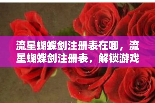 流星蝴蝶剑注册表在哪，流星蝴蝶剑注册表，解锁游戏隐藏功能的神秘钥匙